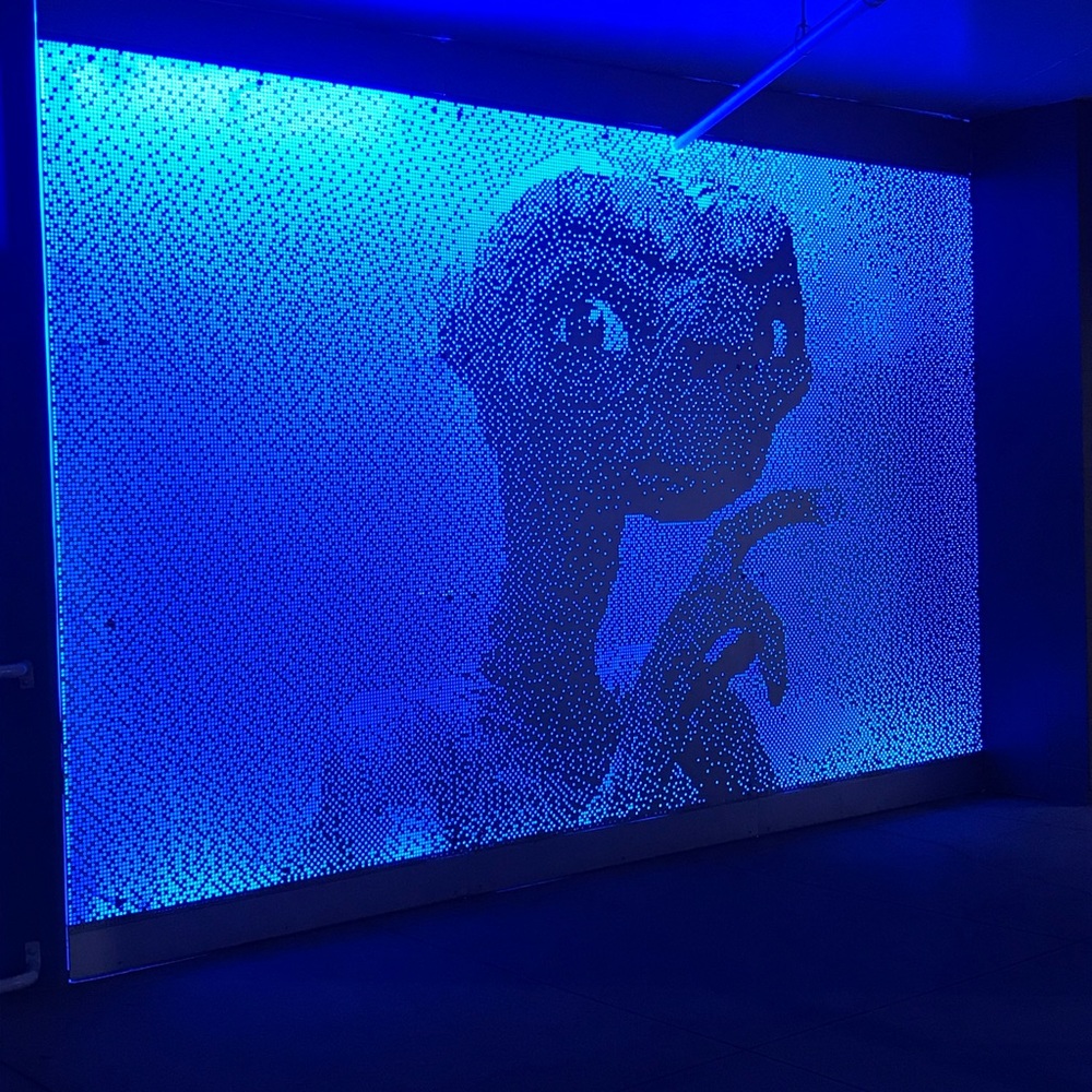 Meet your Posher, Aneesa